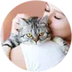 Contact Pretty Happy Pets